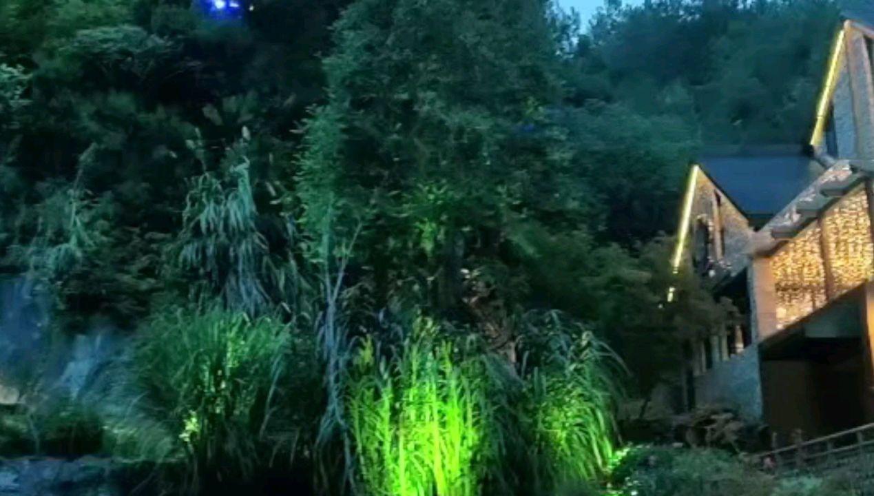夜读丨降低期待，坦然面对不完美